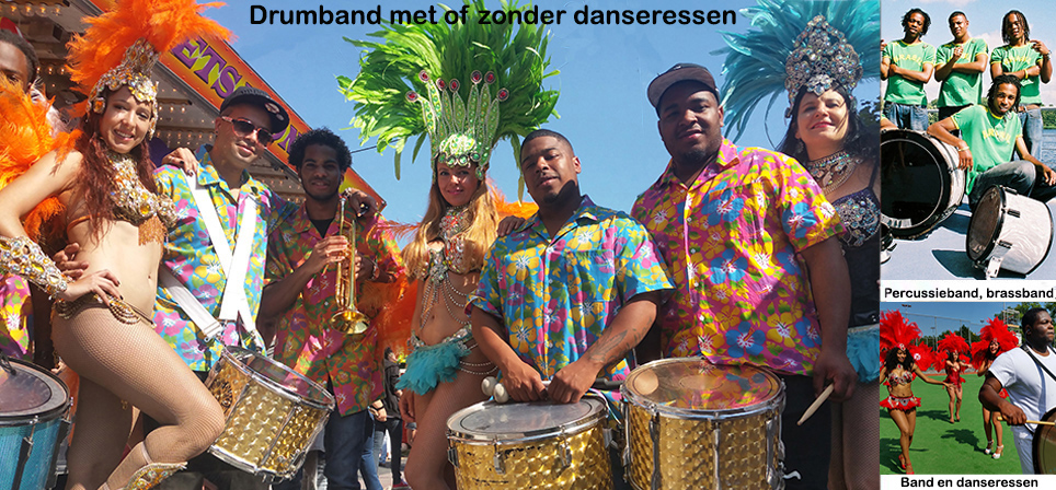 Salsa en Merengue danseressen en dansers