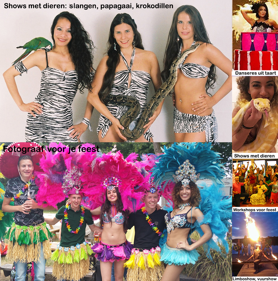 Sambadanseres in jouw omgeving